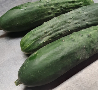 Drei grüne Gurken, von denen einige mit weißlich-grauem Mehltau bedeckt sind, beschriftet mit 'Gurken'.