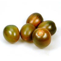 Fünf braun-grüne Tomaten auf weißem Hintergrund.