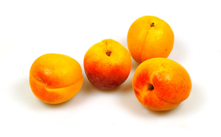 Vier Aprikosen auf weißem Hintergrund.