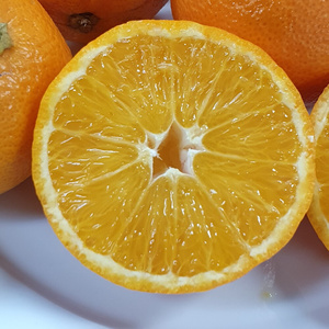 Eine quer geschnittene Blutclementine, die ihre saftigen, orange-rötlichen Segmente zeigt, beschriftet mit 'Blutclementinen'.