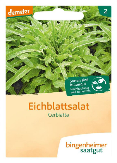Produktfoto zu Saatgut Eichblattsalat Cerbiatta