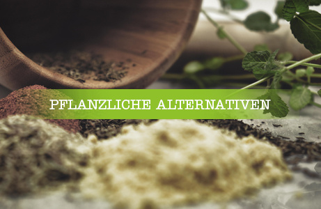 Pflanzliche Alternativen