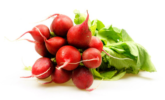 Ein Bund roter Radieschen mit grünen Blättern vor weißem Hintergrund.