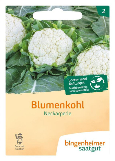 Produktfoto zu Saatgut Blumenkohl Neckarperle