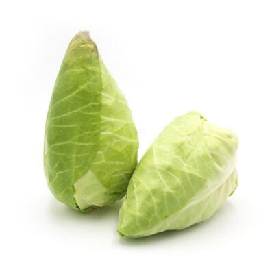 Produktfoto zu Spitzkohl neue Ernte