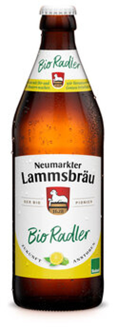 Produktfoto zu Bier Radler, 0,5 l