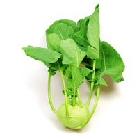 Ein frischer Kohlrabi mit grünen Blättern vor weißem Hintergrund.