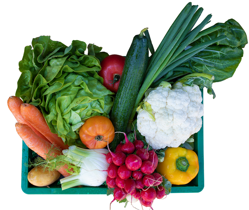 Biokisten mit Gemüse