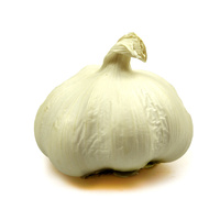 Knoblauchknolle vor weißem Hintergrund.