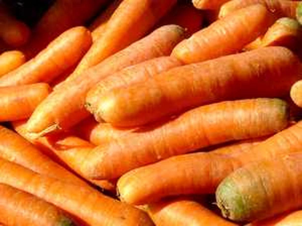 Produktfoto zu Saft-Möhren groß