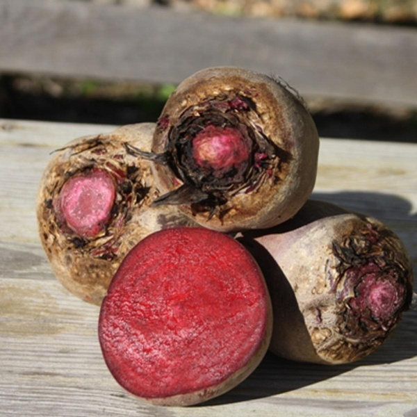Produktfoto zu Rote Bete Bund
