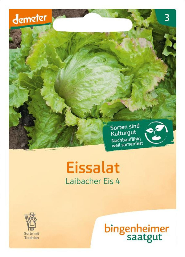 Produktfoto zu Saatgut Eisssalat Laibacher Eis