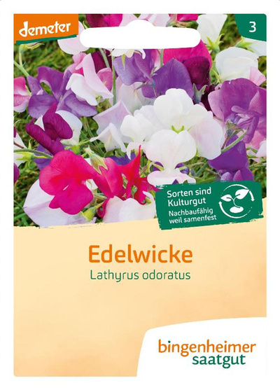 Produktfoto zu Saatgut Blumen Edelwicke