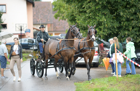 Eine Kutsche mit zwei Pferden fährt langsam durch den Hofbereich, begleitet von Besucher*innen – Teil des Rahmenprogramms.