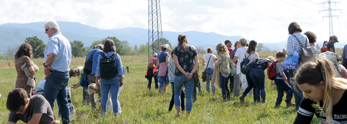 Eine große Gruppe von Erwachsenen und Kindern steht auf einem weitläufigen Feld. Einige Personen beugen sich herunter und begutachten Pflanzen. Im Hintergrund sind Strommasten und bewaldete Hügel unter einem bewölkten Himmel zu sehen.