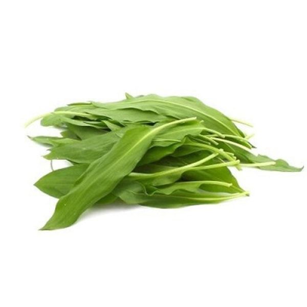 Produktfoto zu Bärlauch Bund