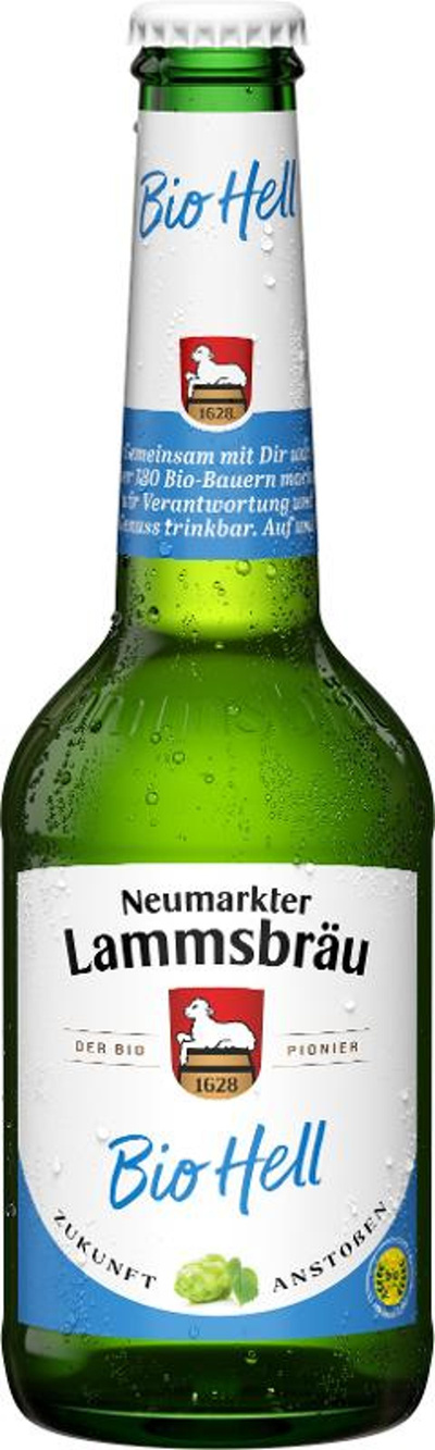 Produktfoto zu Bier Hell, 10x0,33 l