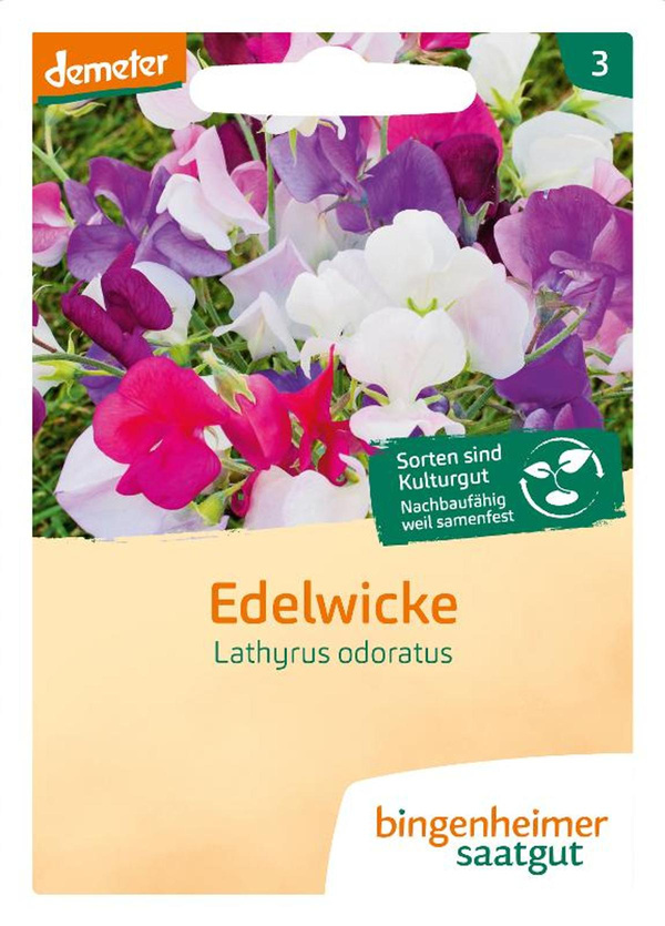 Produktfoto zu Saatgut Blumen Edelwicke