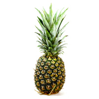 Eine einzelne Ananas mit grünem Schopf vor weißem Hintergrund.